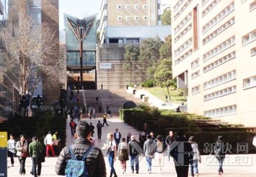 澳洲中国留学生爱抱团“临时工”心态致融入危机