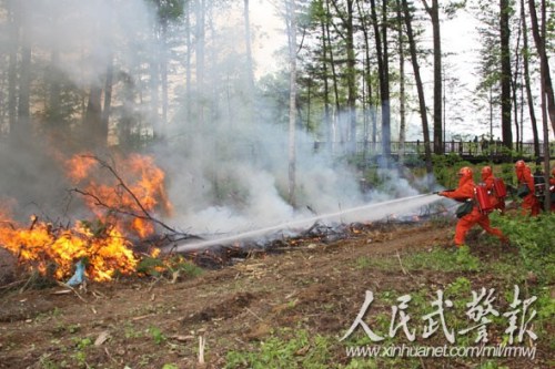 武警部队野外驻训提高部队灭火实战能力