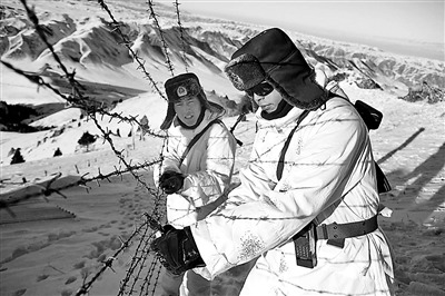 �߷��ٱ�������̬ƽ��10���150��ֻҰ������