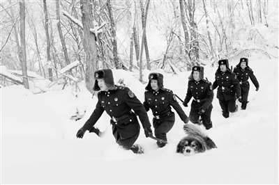 ����ĳ�������ٱ�ð�Ϻ�̤��ѩѲ����ɽ����