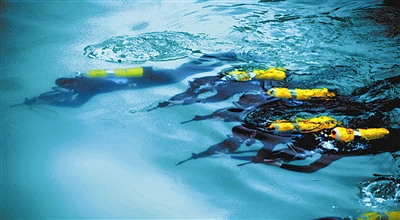 �ɶ�����ĳ����֯ͻ����Ա��չˮ��ս��ѵ����ͼ��