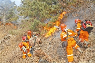 烟台警备区官兵扑救栖霞市牙山地域森林火灾(图)