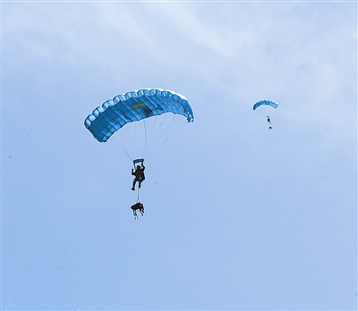 空降兵某部组织夜间跳伞伞兵漆黑中凌空跳下(图)