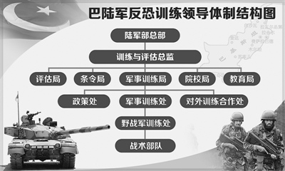 ʵս���ư;�����ѵ����Ӫ���������ӵ�����