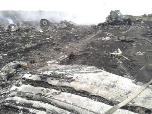 专家:MH17客机遭导弹击落可能性大不会引发战争