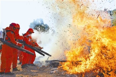 �޾��ħ������ɭ���±���ɽ�����������ͼ��