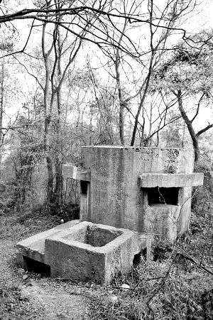 �����Ͼ����յﱤȺ����������Ϊ���վ�����