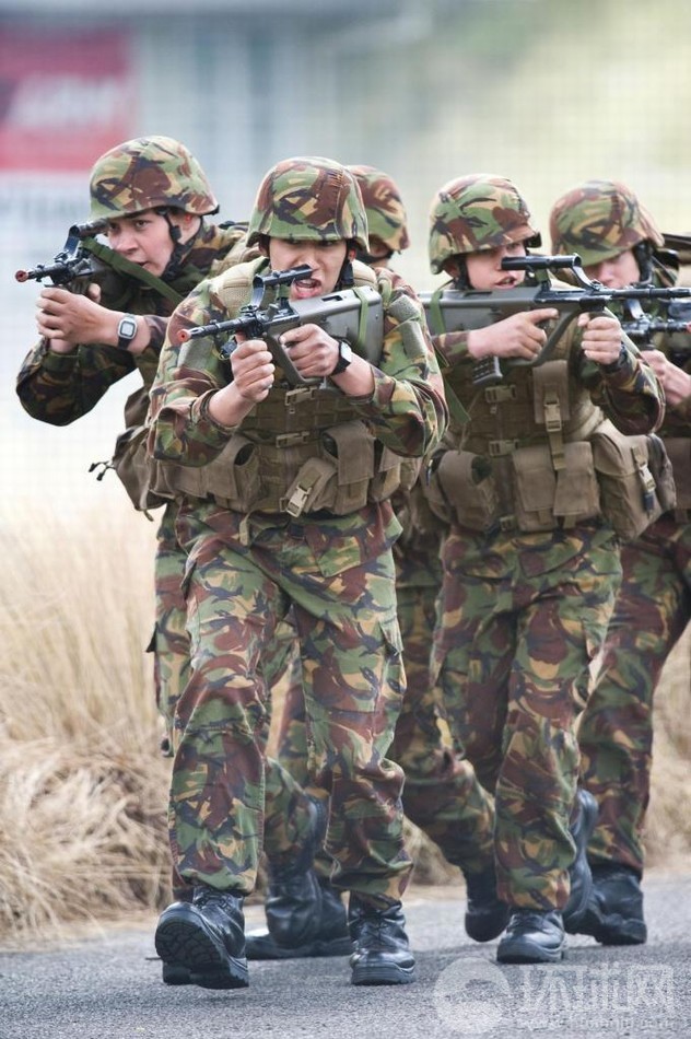 新西兰军事装备图片