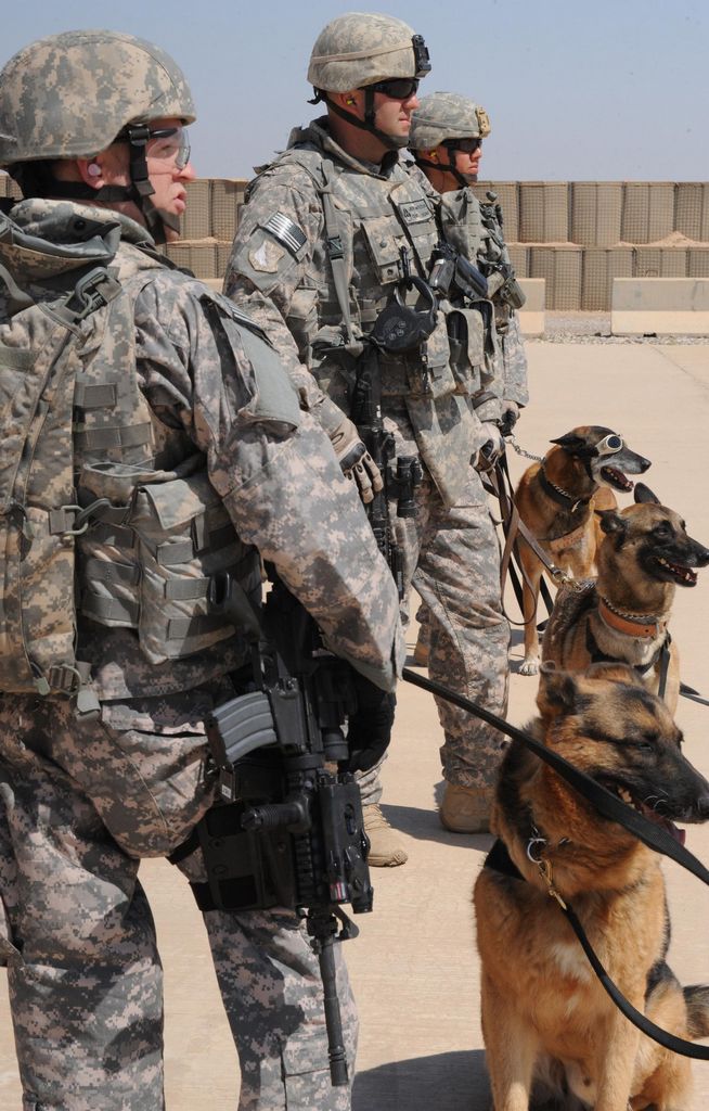 美国军犬穿戴专用风镜作训服酷劲十足