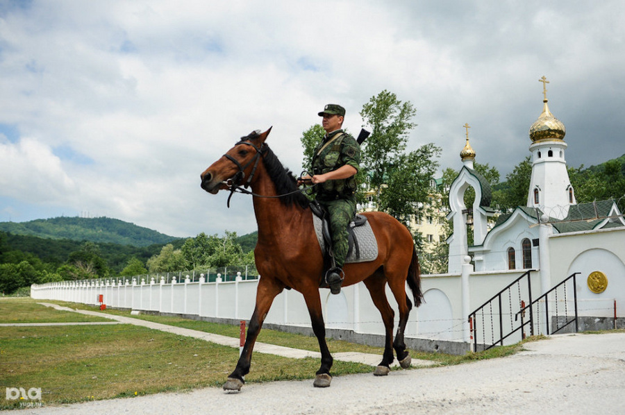 俄罗斯军马很苦逼驮士兵又驮军犬