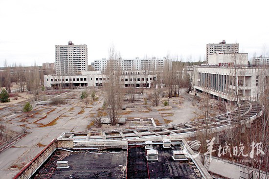 �ж�ŵ�����������������ǻ�