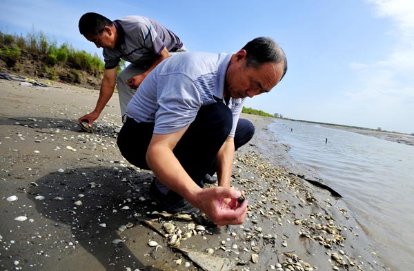 ��ǰ���Ǳ̺��������������