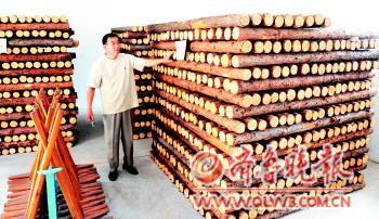 黄河济南段15日进入主汛期防汛物资已准备好