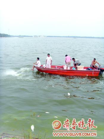 菏泽雷泽湖水库惊现大量死鱼专家称与水质无关