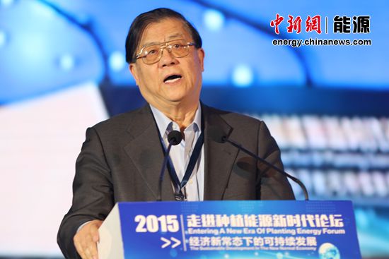 ���ƴ�:��ֲ��Դ�����й���Դս�Խ����������