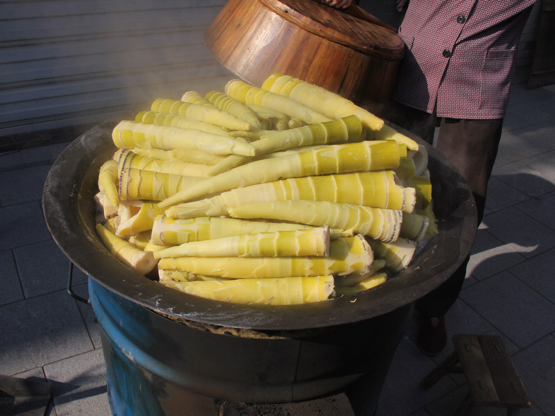浙江安吉:守青山得金山生态游年入百亿(3)