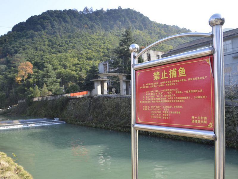 浙江安吉:守青山得金山生态游年入百亿(4)