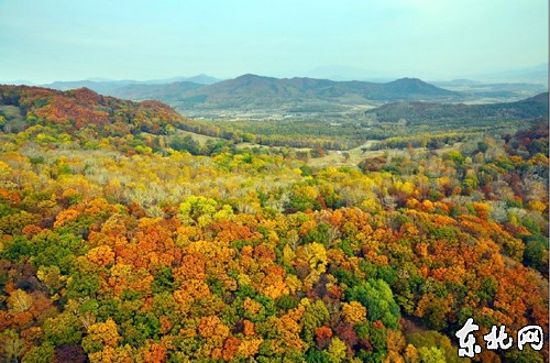 ������ƽɽ���������͡��廨ɽɫ��