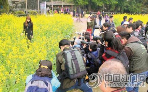 广东开平油菜花节开幕花海映衬侨乡碉楼