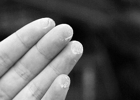 怪雨 袭山城满地是黄粉专家 不是酸雨是花粉 中新网