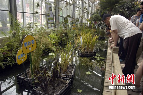 ����ɫˮ�����״��߳�ʵ���ҽ����人ֲ��԰