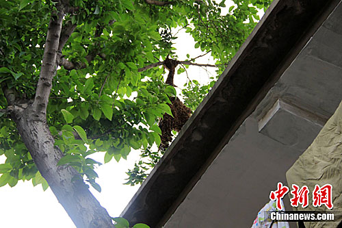 �۷��������䳲һ�׸��Ż�ס��æ����