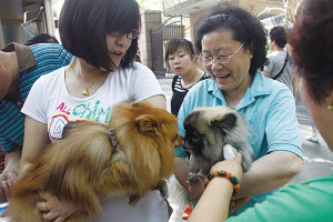 ����ȱ���޹�������������֧�С���ʱ�ޡ���ͼ��