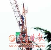 ���̿����ַ�����ɧ�ŷ��޶���������������