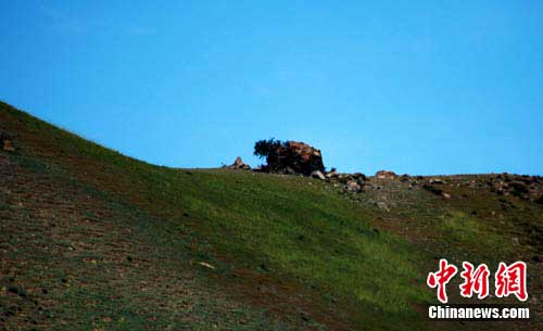 �½��������տ���һʯ�������ơ���ţ����ͼ��