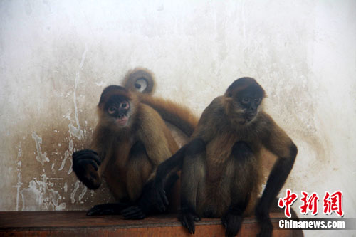 ����桰�ǳ����š�:�ڡ����顱Զ�����������ף�2��