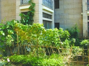 �����ֲ�Ƶ��������ִ���ѳƶ���ʳƷ����ȫ�ǻ�