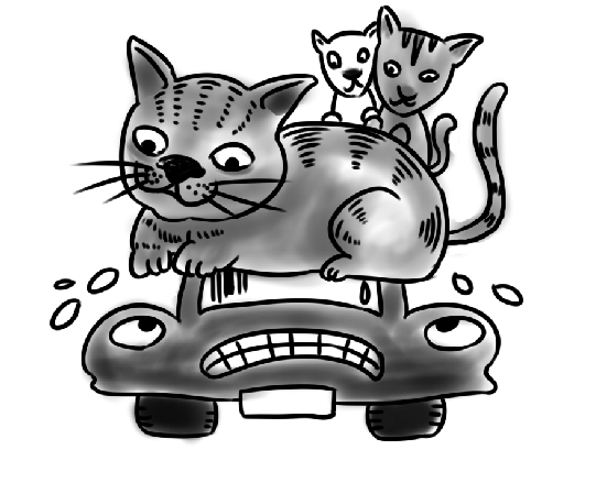 Ұè������������������ҵ�һֻ�����ʽ���