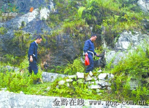 ����150����ɽ��Ѱ��Ѯ��ҩ����ʧ��������