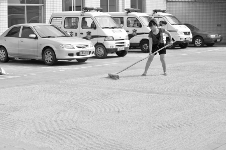 �����������ɳ���Ժ��ɹ����û��ϣ��ȴ��ͬ��