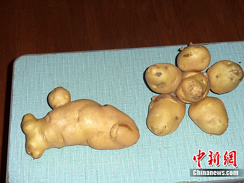 ӱһũ״ƽ㡢ũʦƴɺ