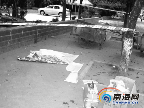 海南垃圾堆现畸形死婴疑为无钱医治放弃治疗(图)