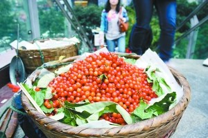 ��ӣı��ơ�Ϯ�������ӣ�Ҽ۸��ѳ�����