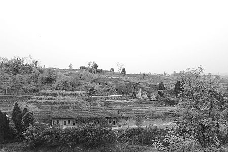 ǧ��ʯ��Ⱥ��ΪҰ���عٷ��ƿ���ǰ�ޱ����ƻ�