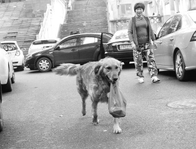 �人һ����Ȯͨ����ÿ������ˡ���ˡ���ͼ��