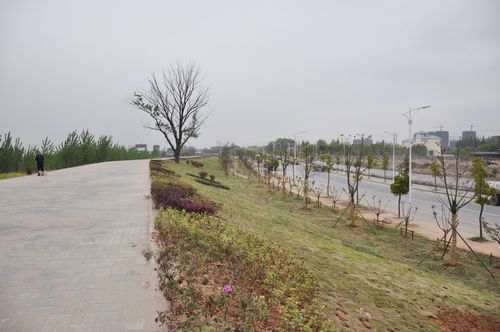 南京水利局称长江干堤加固工程存在问题报道不实