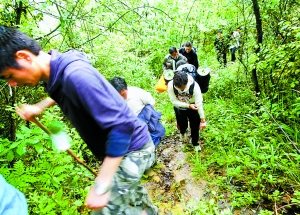 6驴友露营被洪水围困获救:搜救人员用刀砍出路