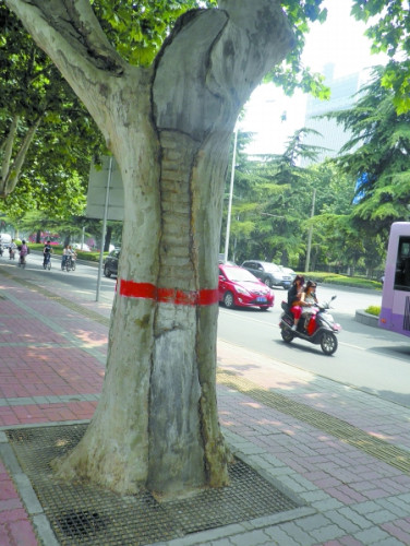 ֣�ݷ�ͩ���ɱ�������שר�ҳ�����Ϊ������ͼ��