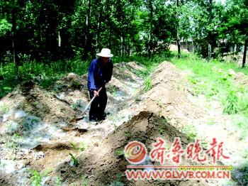 82岁老人义务守烈士墓65年乡亲尊称活雷锋