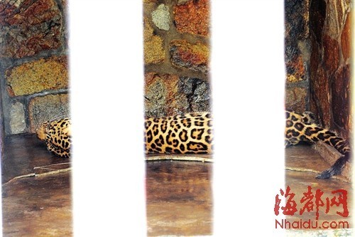 ��Ǯ��ҧ������Ա�������ɨ�����������ţ�ͼ��