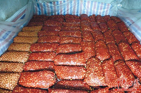 作坊用添加剂泡水加热让青枣变红称是祖传秘方