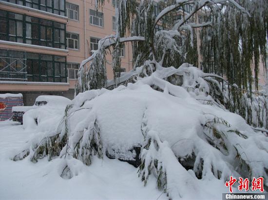 点图查看下一页