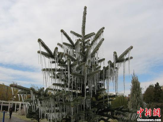 点图查看下一页