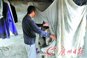 男子为防病妻走失“站岗”12年每晚守夜到天明
