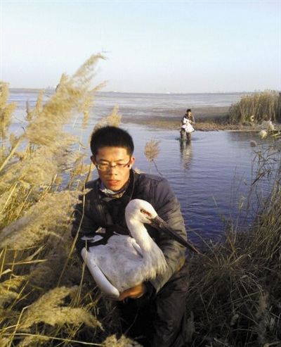 天津一水库超30只东方白鹳中毒现场留有农药