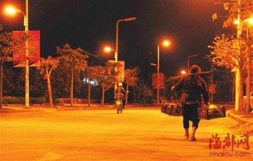 儿子瘫痪18年八旬老太种田卖菜养家(图)